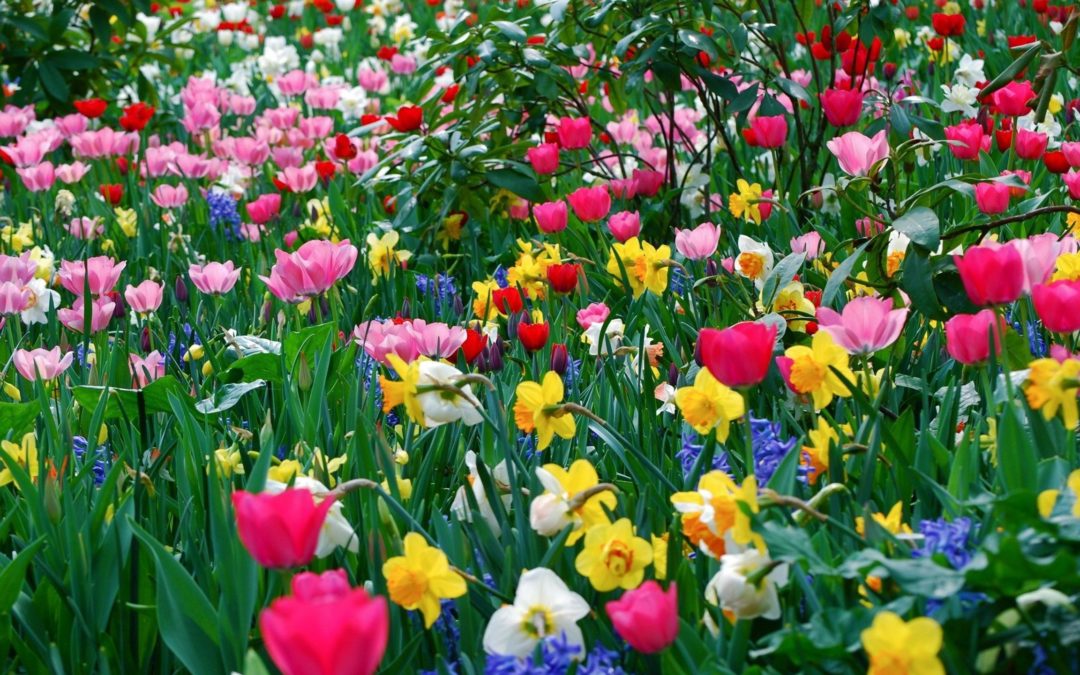 Primavera: tepore, luce e colori ma anche riacutizzazione di ansia, depressione e disturbi psicologici.